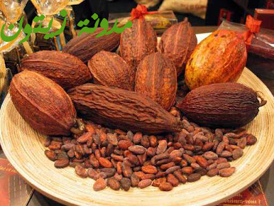  cocoa%2520beans.psd