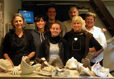 P.Cochet et P Rosier et autres