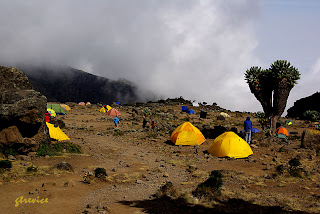 Ascensión a Kilimanjaro, Umbwe route en 4 días - Blogs de Tanzania - Ascensión al Kilimanjaro, Umbwe route en 4 días (10)