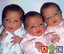 The daily life and activities of a family with triplets, born August 2007 at 35 weeks.