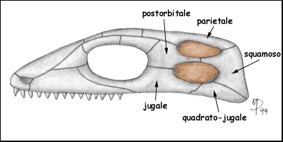 PEGADAS DE UM DINOSSAURO DO SÉCULO XXI: O QUE É UM DINOSSAURO?