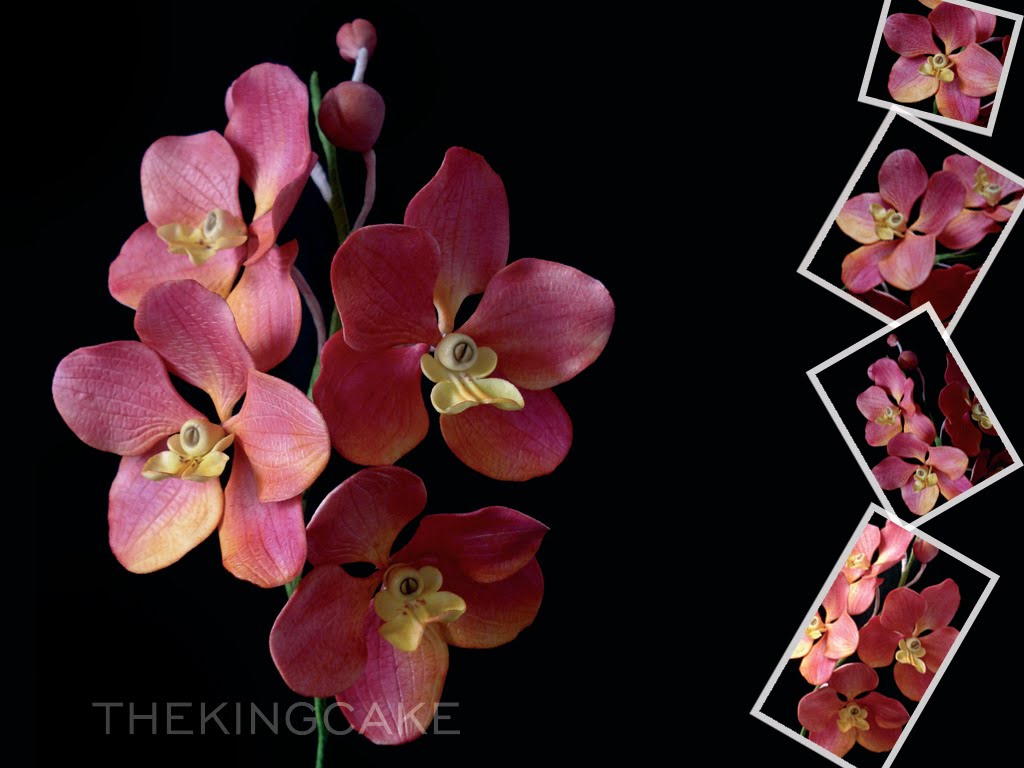 The King Cake: Orquídea Vanda em açúcar