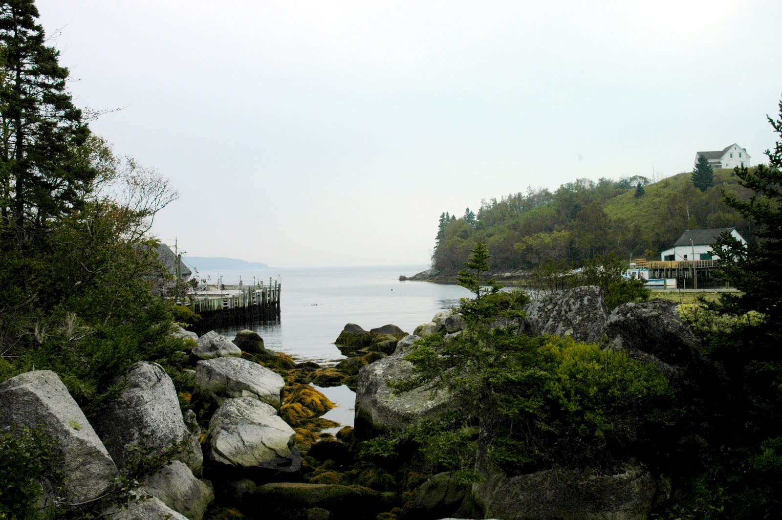 Nova Scotia coast