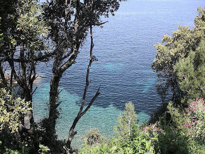 Isola-Elba-mare