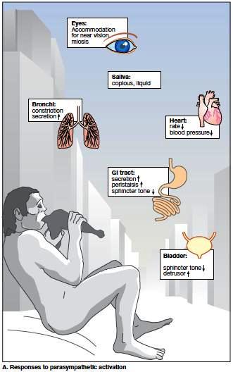 World of Human Anatomy & Physiology: 