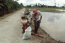 Manabur