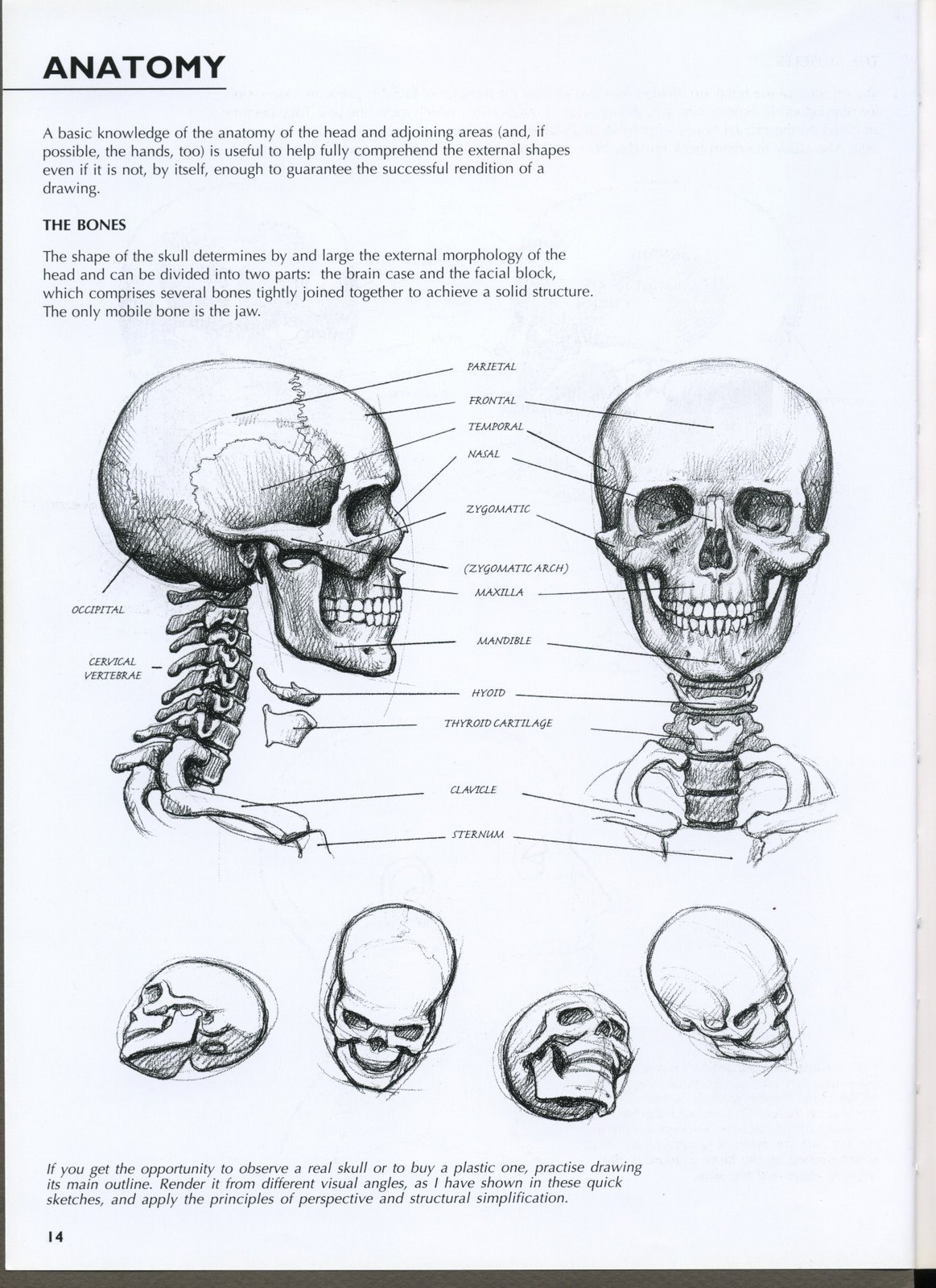 [Civardi-Portrait_Page_15-780166.jpg]