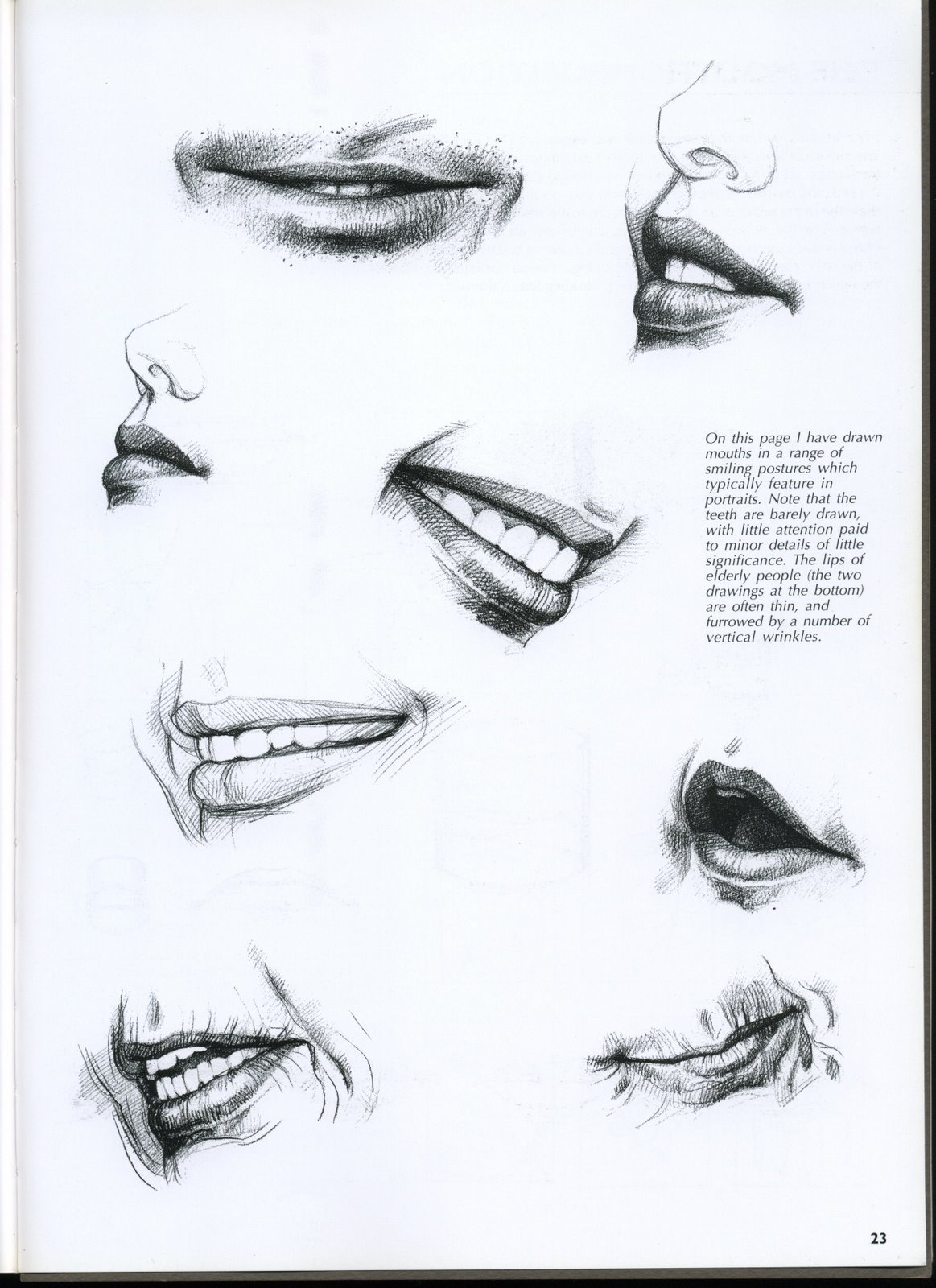 [Civardi-Portrait_Page_24-776368.jpg]