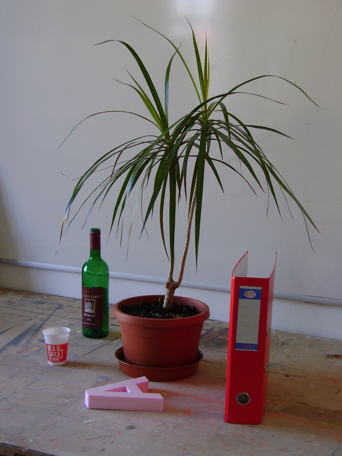 [DSC00779.JPG]