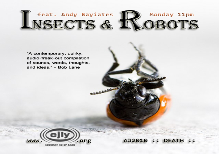Insects & Robots