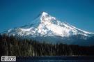 [mount+hood.jpg]