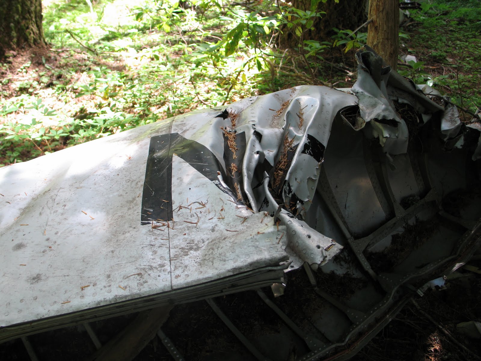 Wreckchasing in Oregon