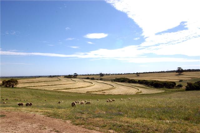 D R I N K S T E R Mclaren Vale At War With Ghetto Govt