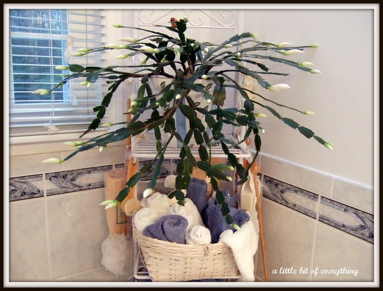 a little bit of everything 04/20/10