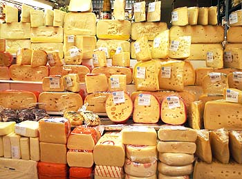 Abobrinhas da Mídia e Metabolismo: O poder do queijo