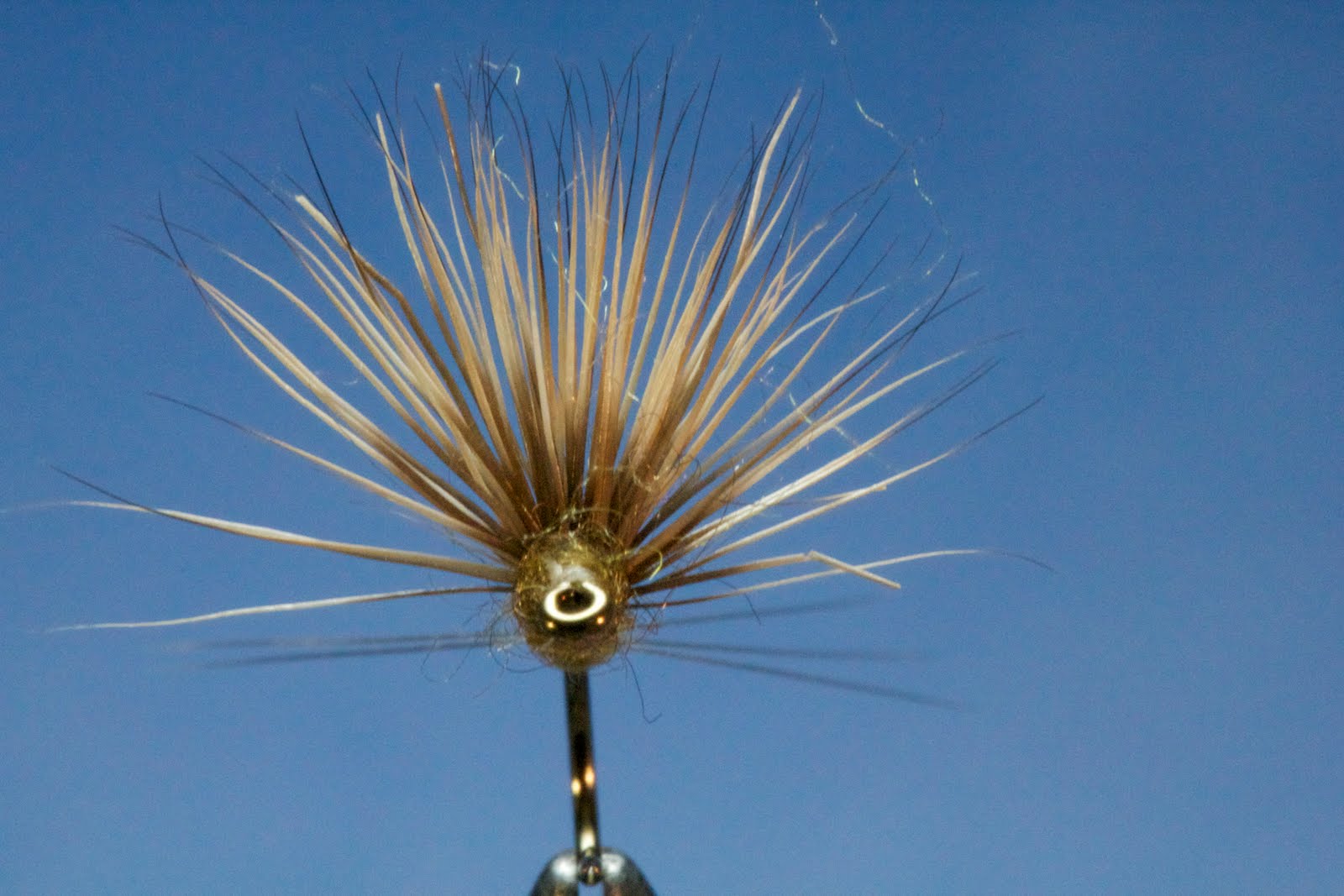 Favorite sulphur emerger and dry patterns | Page 2