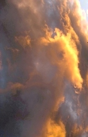 [Flame+Coloured+Horse.jpg]