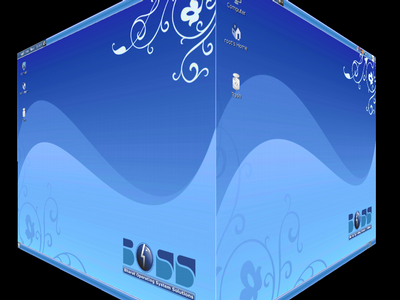 BOSS LINUX OS BOSS LINUX OS