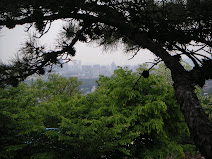 A View From One of Seoul's Hills