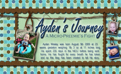 Ayden's Journey: A Micro-Preemie Fight