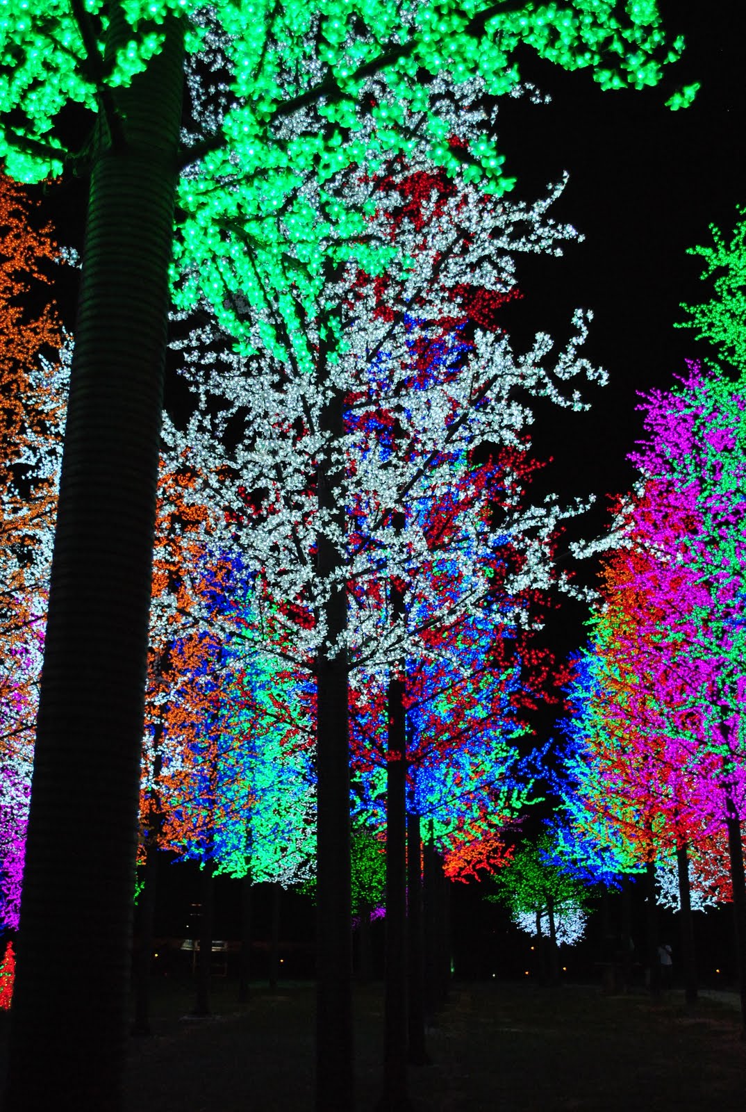 [LIGHTS+014.jpg]