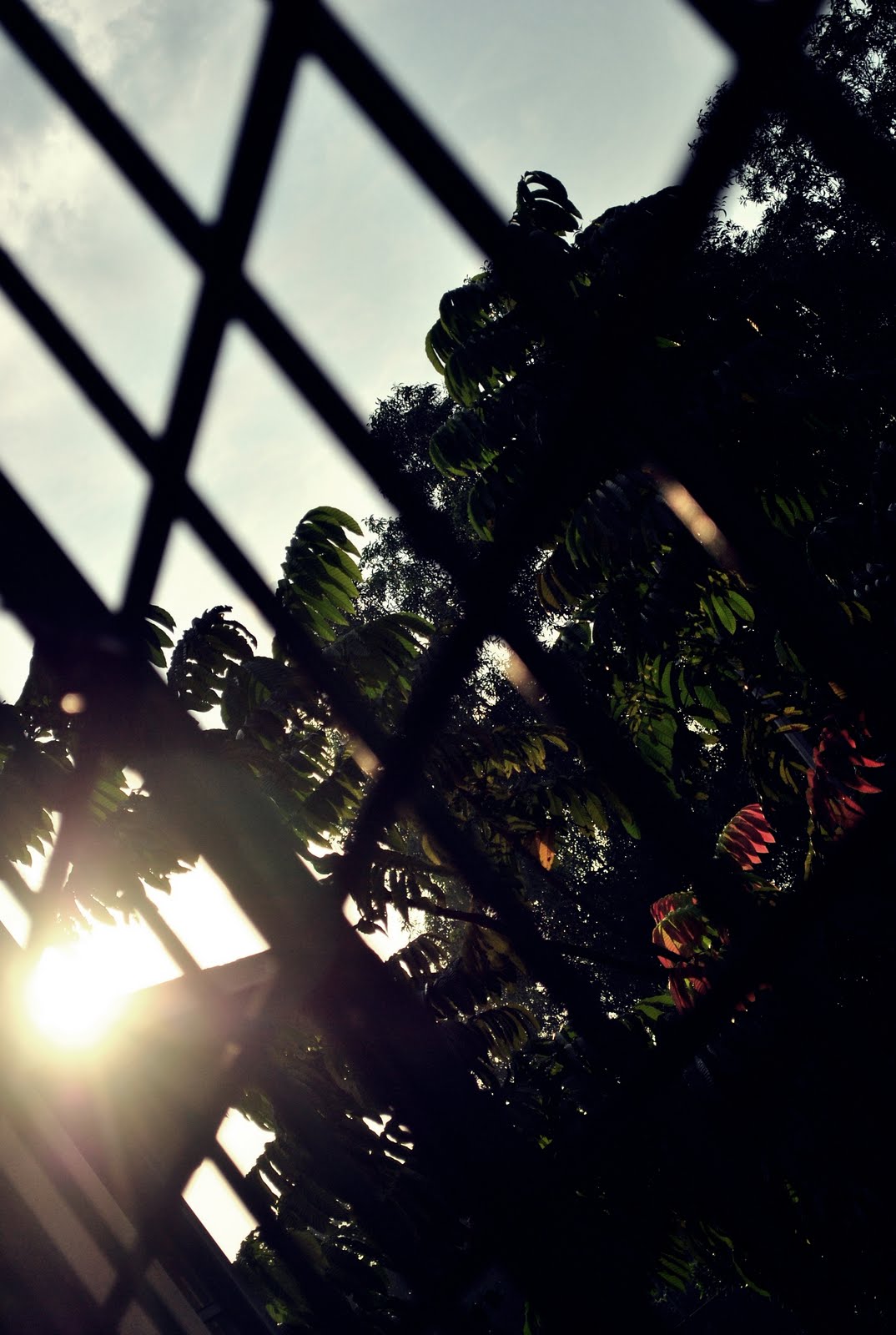 [nothing+but+ordinary+pt.4+021.jpg]