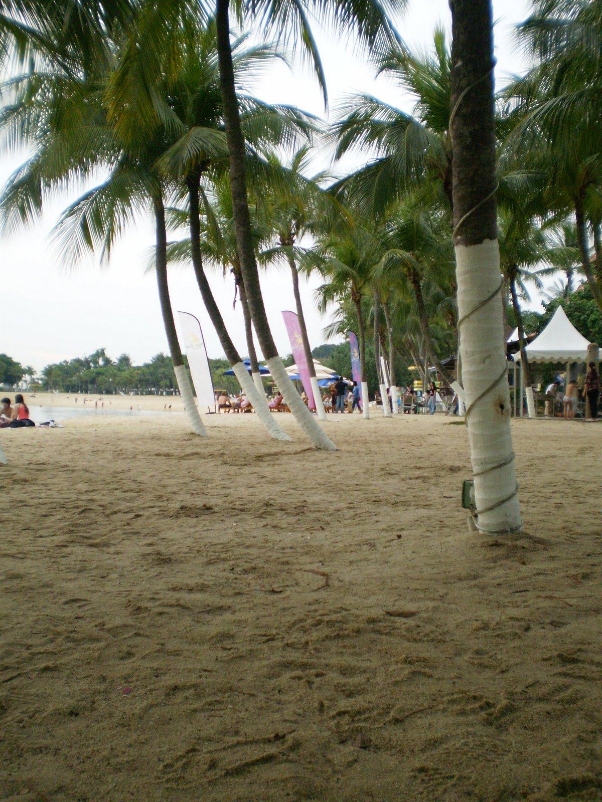 [P2060074.JPG]
