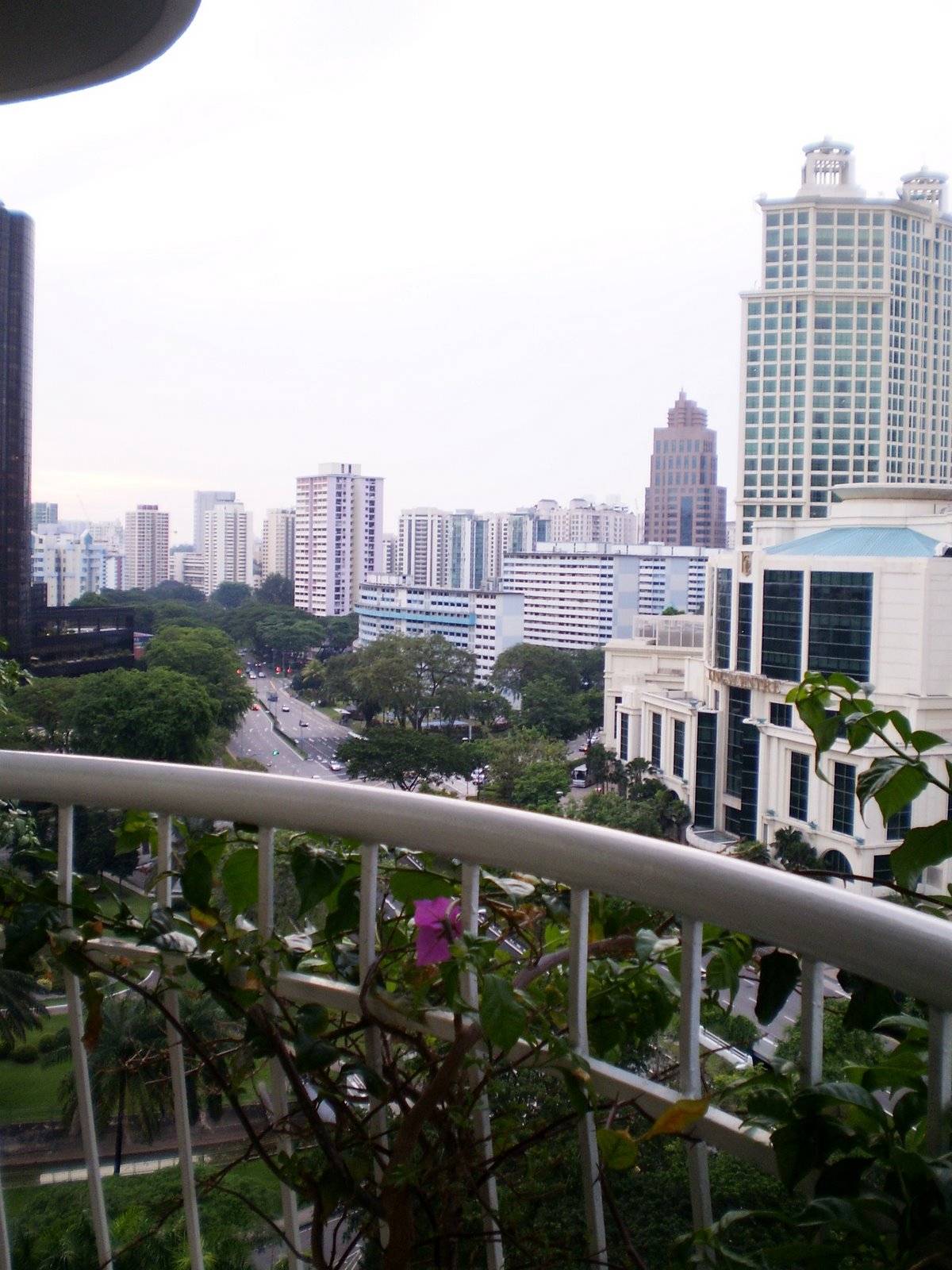 [P3030008.JPG]