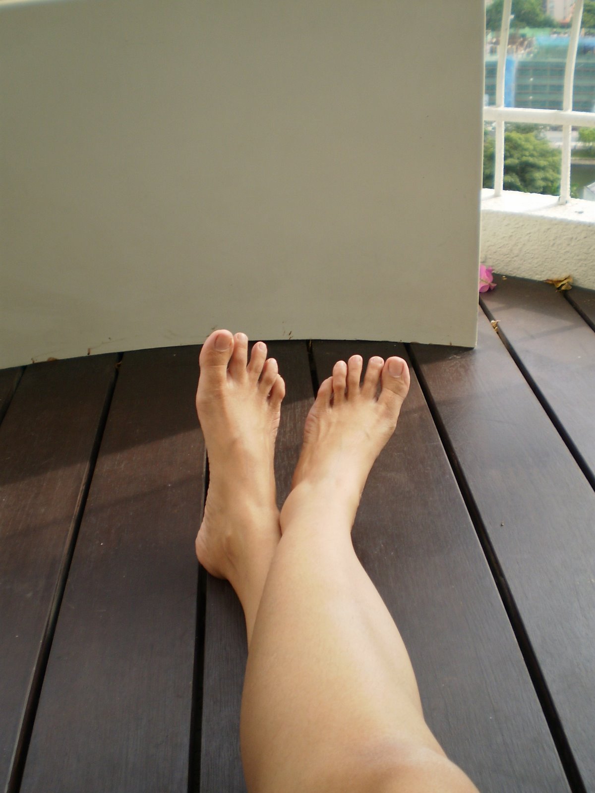 [P3030038.JPG]