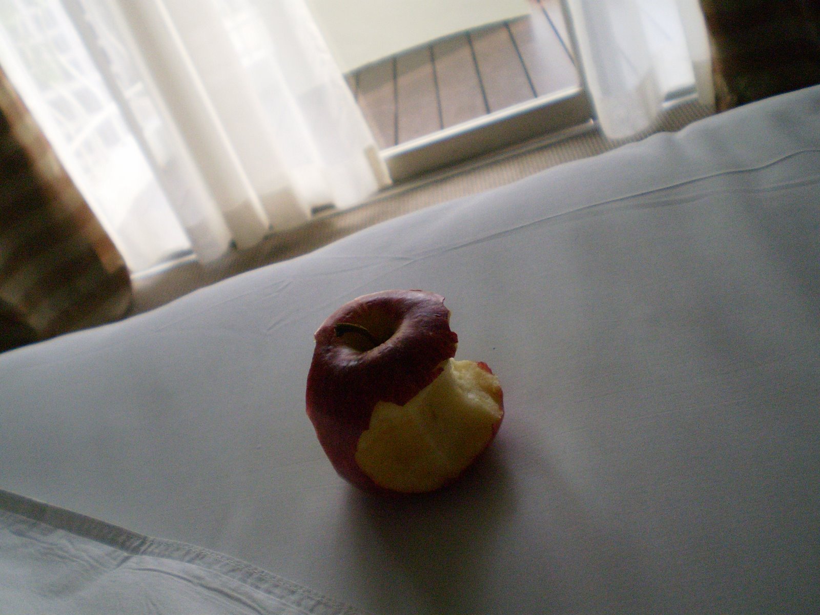 [P3030040.JPG]