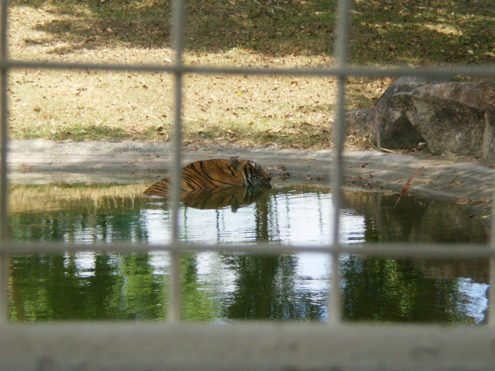 [P4160245.JPG]