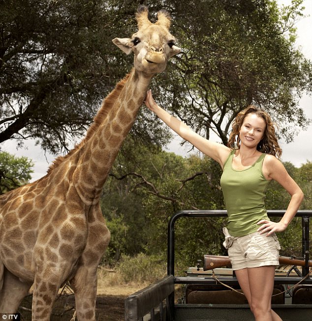 british tv wild at heart south africa cameraman giraffe british tv wild at heart south africa cameraman giraffe