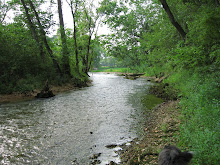 7-31-07  Exploring a spring on the Black River
