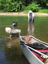 7-31-07 Cooling off in the Black River