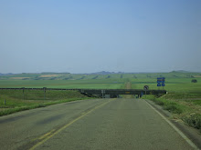 7-23-07 Home on the Range