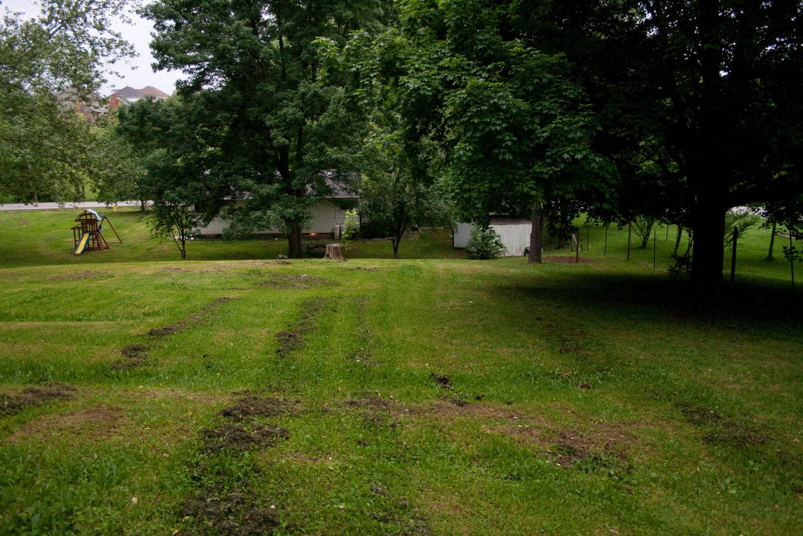 2068 longbranch rd. Union, KY 41091