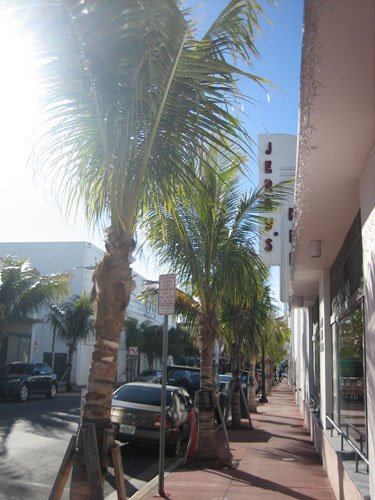 [miami_street_vertikal.jpg]