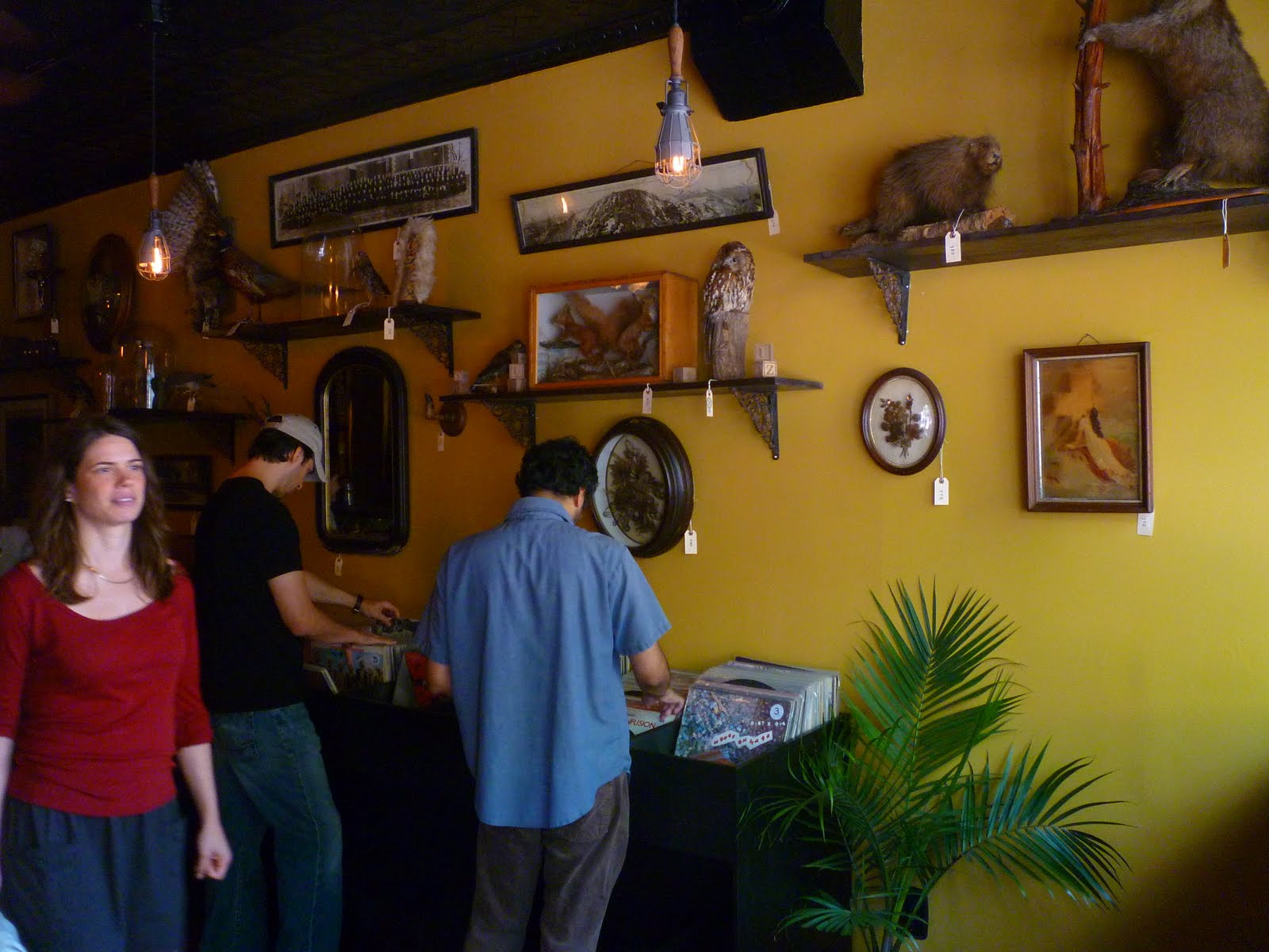 Lost City Odd Court Street Hybrid Shop Black Gold Opens