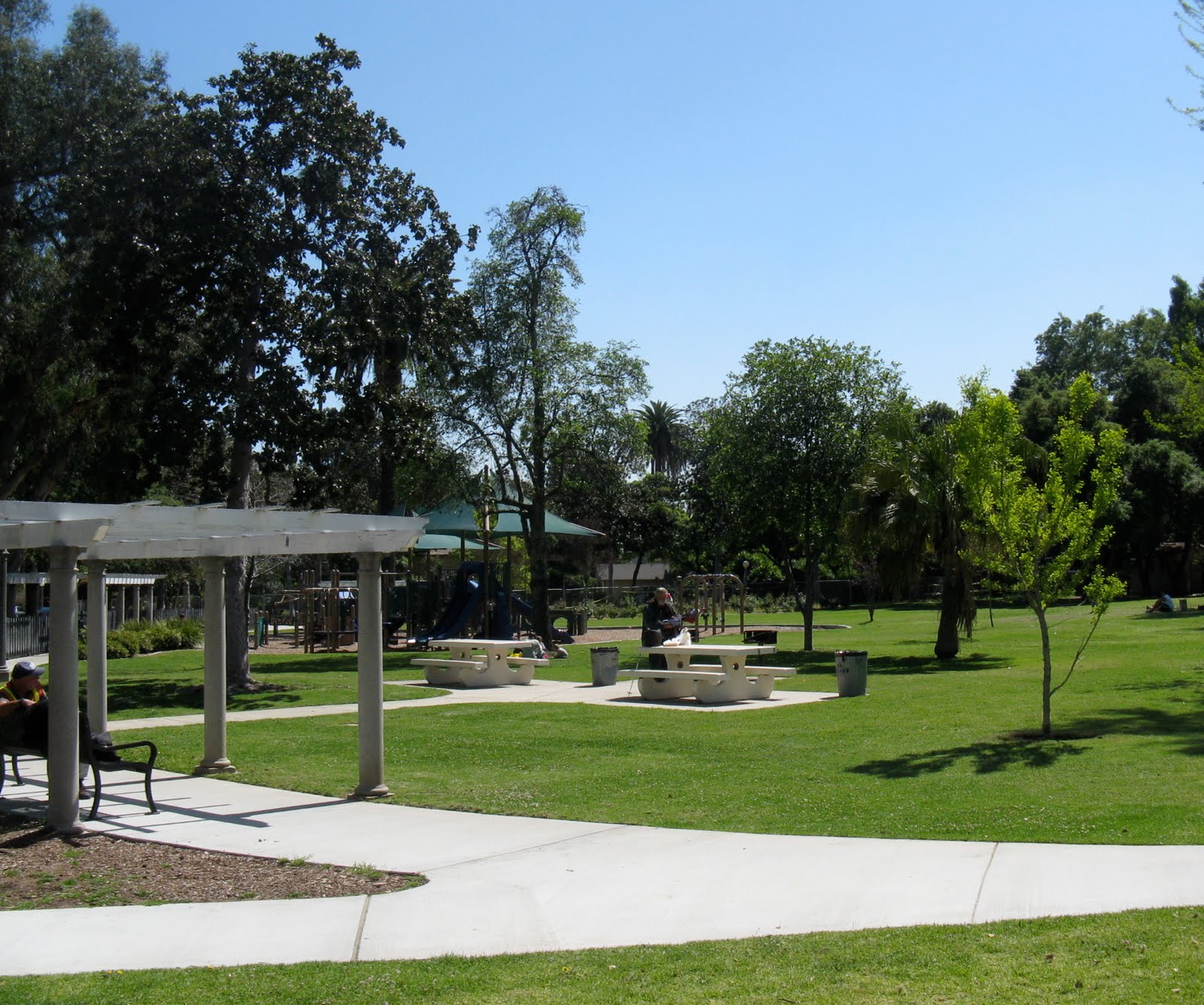 the sky is big in pasadena singer park