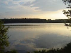 Les étangs de Trémelin