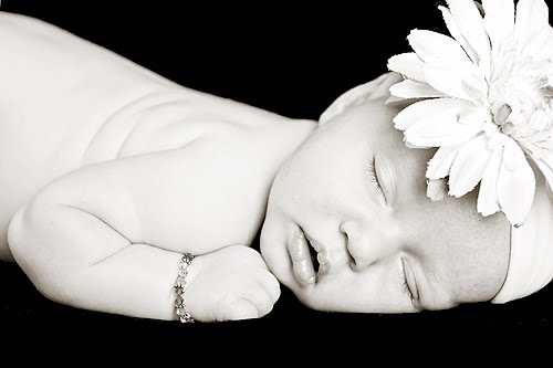 [IMGP7531-1bwblog.jpg]