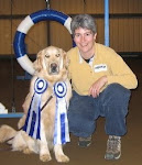 Puppy House Training