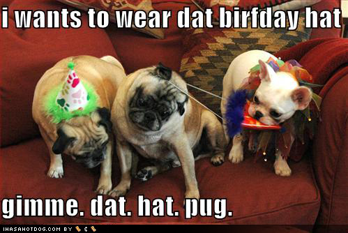 Funny birthday quotes search results from Google
