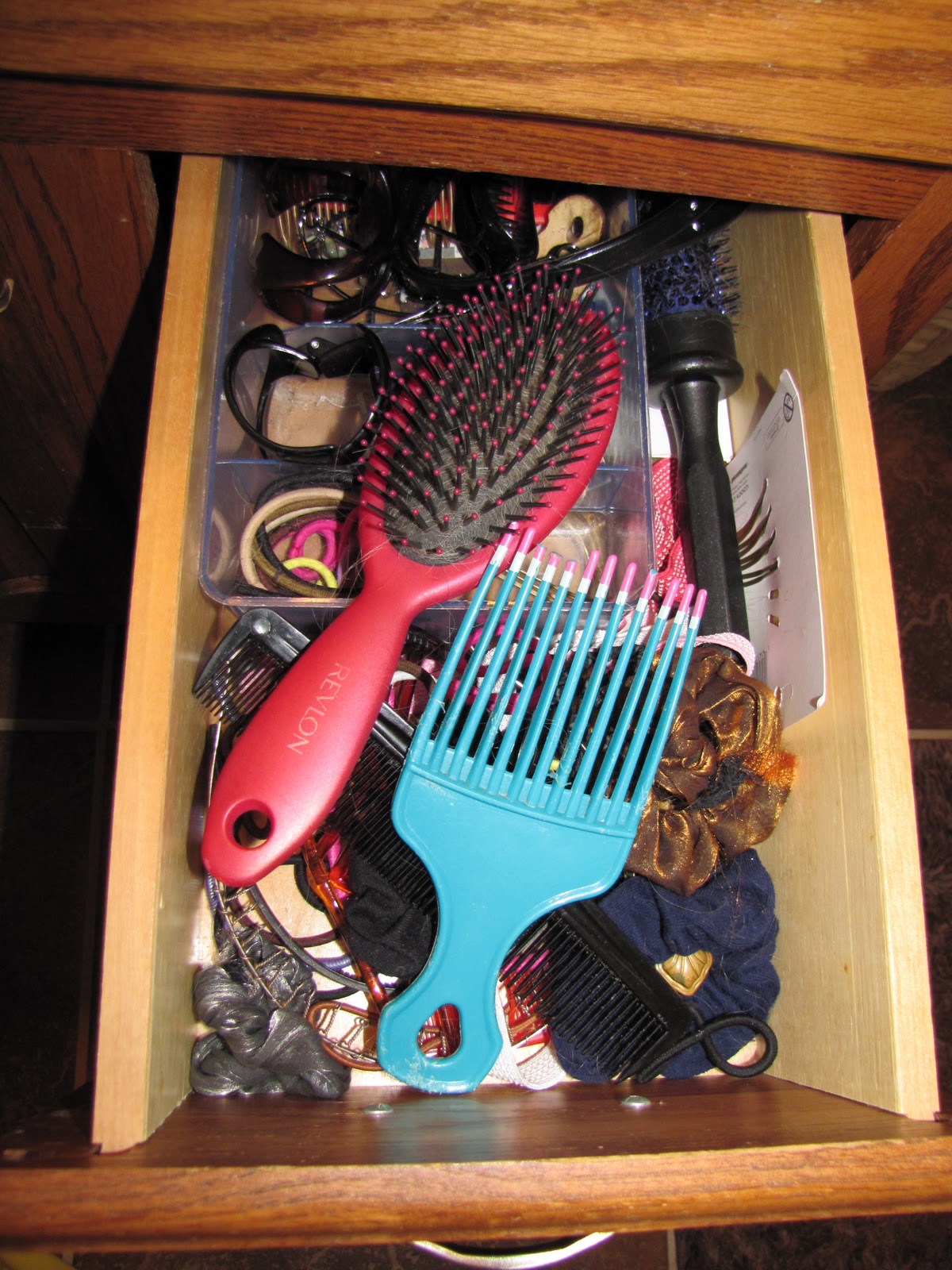 Sustainably Chic Designs January 2011