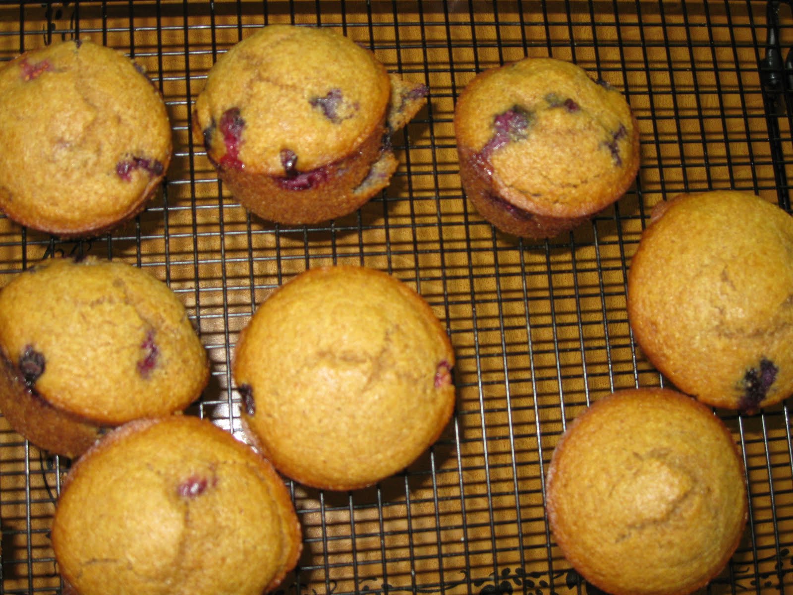 Best Ever Recipe Collection Ezekiel Muffins