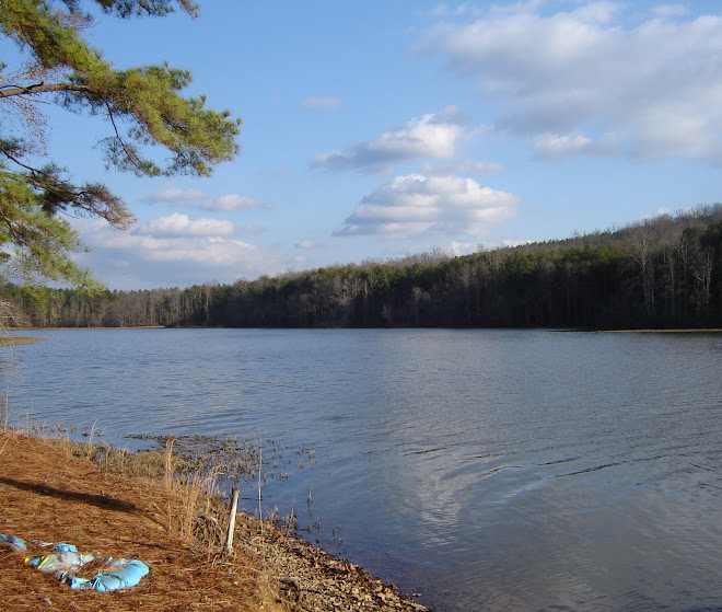 Tuckertown Lake