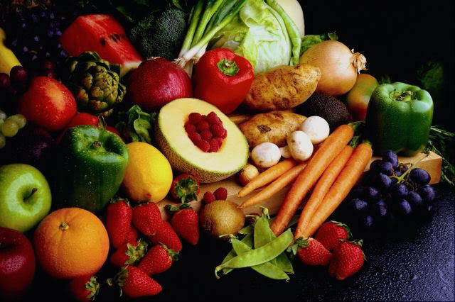 Food That S Healthy For A Conure Food That S Healthy For A Conure