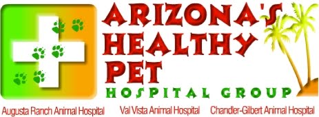 Arizona Healthy Pet Hospital Group