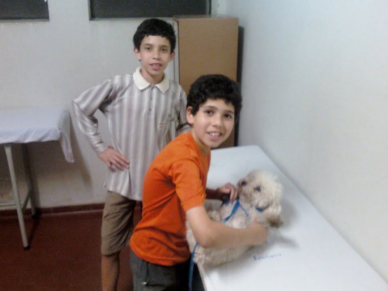 Familia Faria