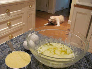 Lambeau in the kitchen with corn muffin ingredients